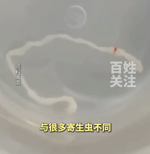 81195b8833843ff95332.png