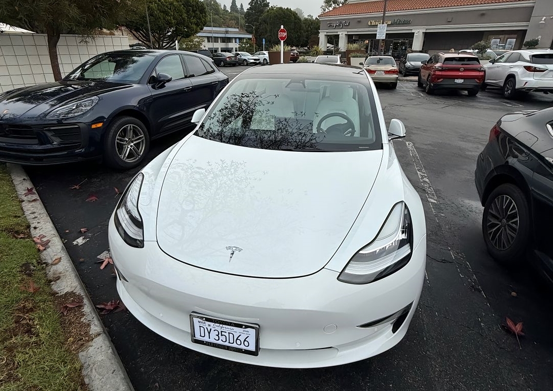 8163092e9220c60e18a2.jpg