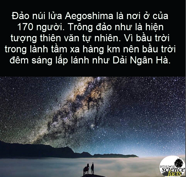 81770e8df5d660fc8e4e.png
