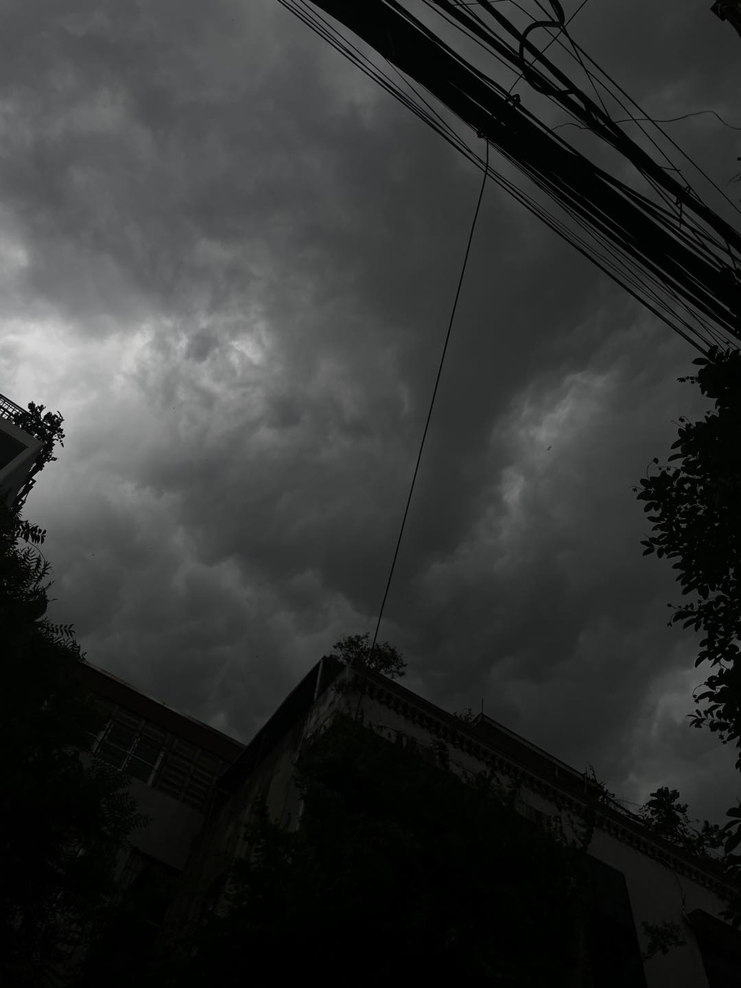 81a3e677c50186446750.jpg