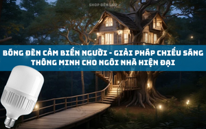 81bc2b5a12b808e02960.png