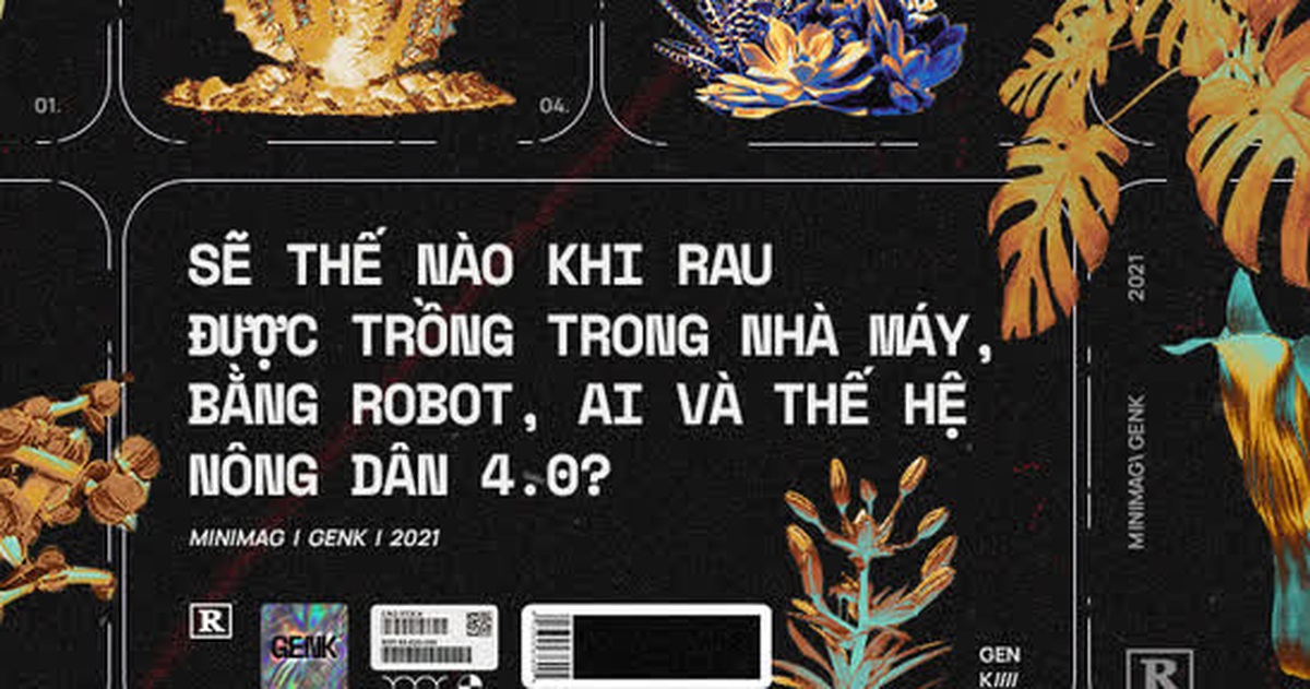 81d188317174795581e9.jpg