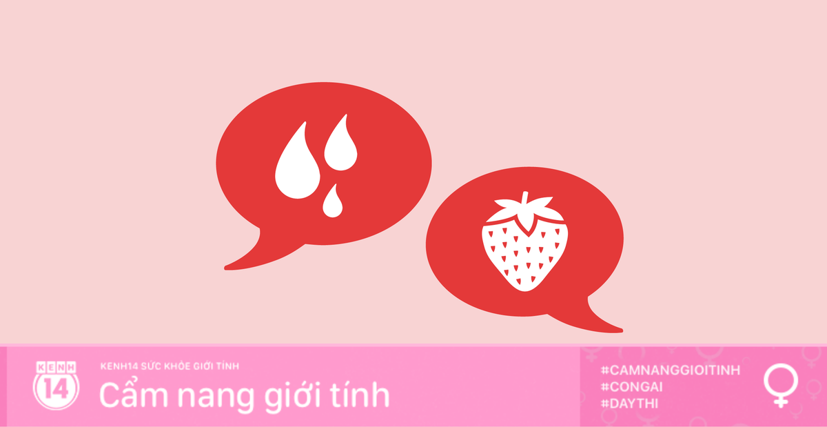 81dc2c2e9a1ada0e9615.png