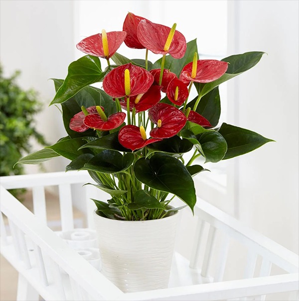 820d7481eedbd89cb065.jpg