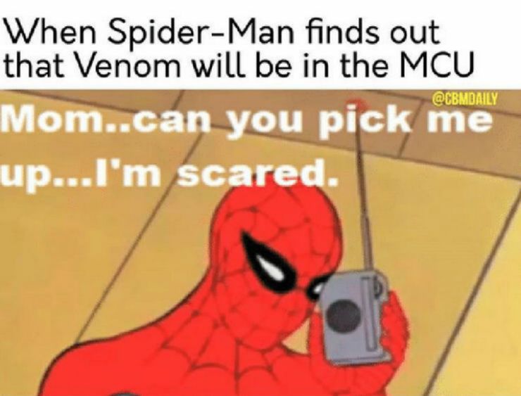 821995a7ba9e40269b62.jpg