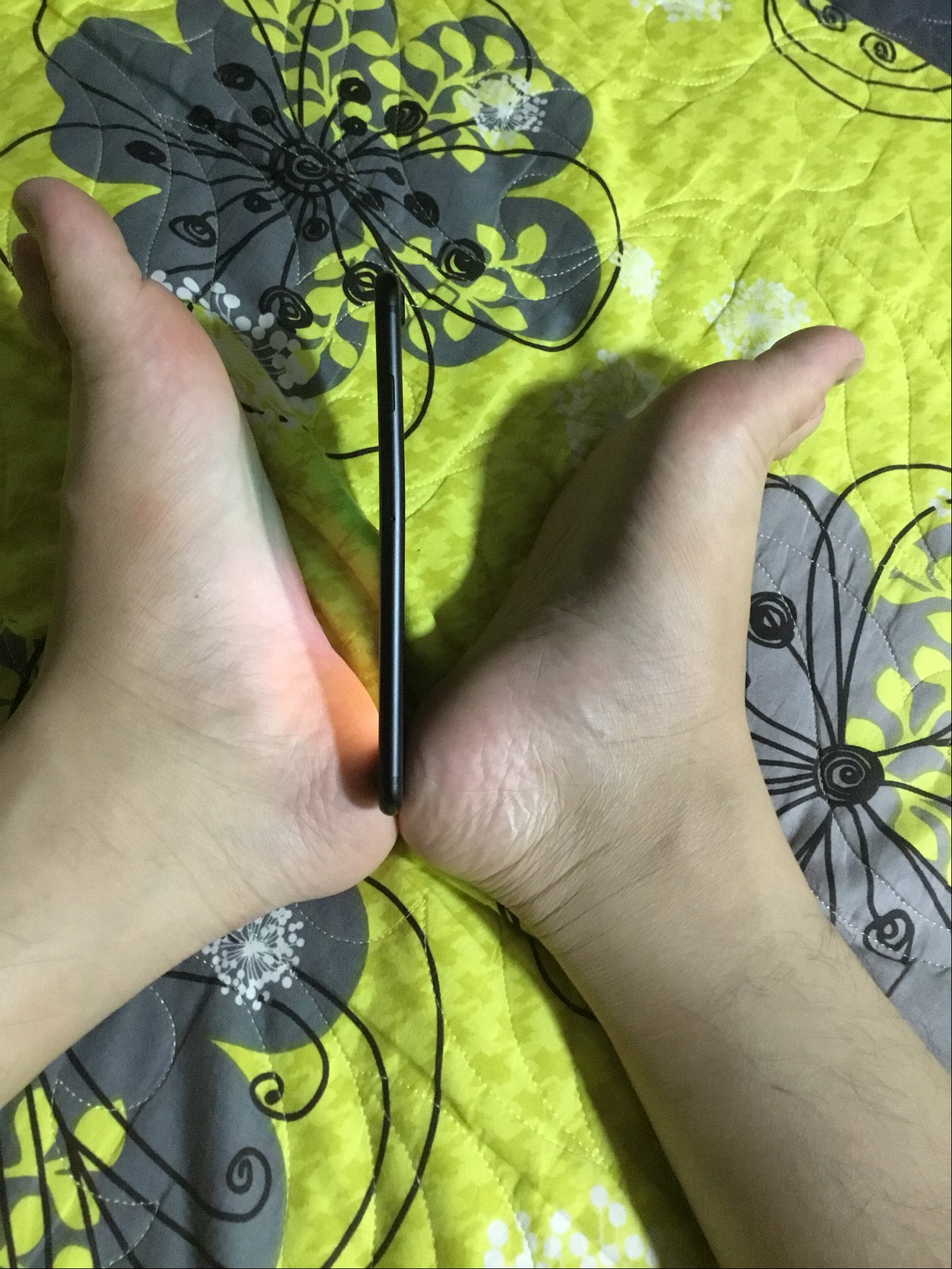 826ff3b55a1aaa18564f.jpg