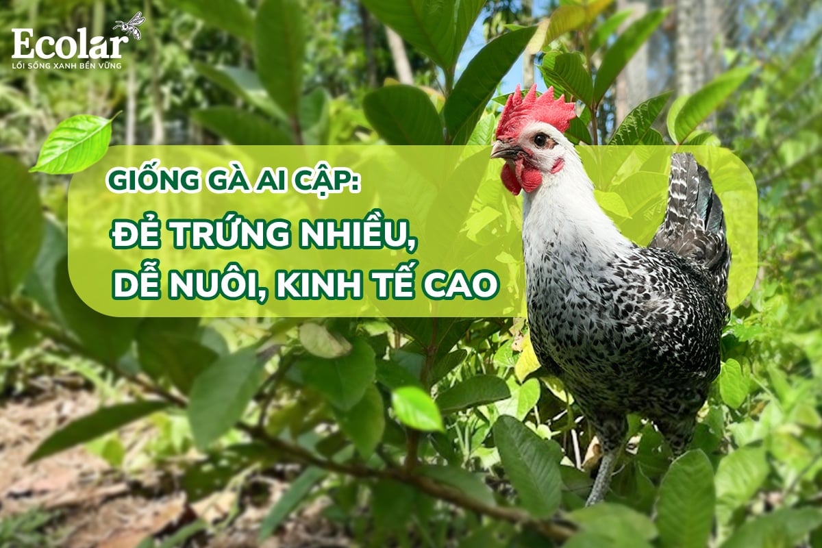 829cd3da785e0d49b6ba.jpg