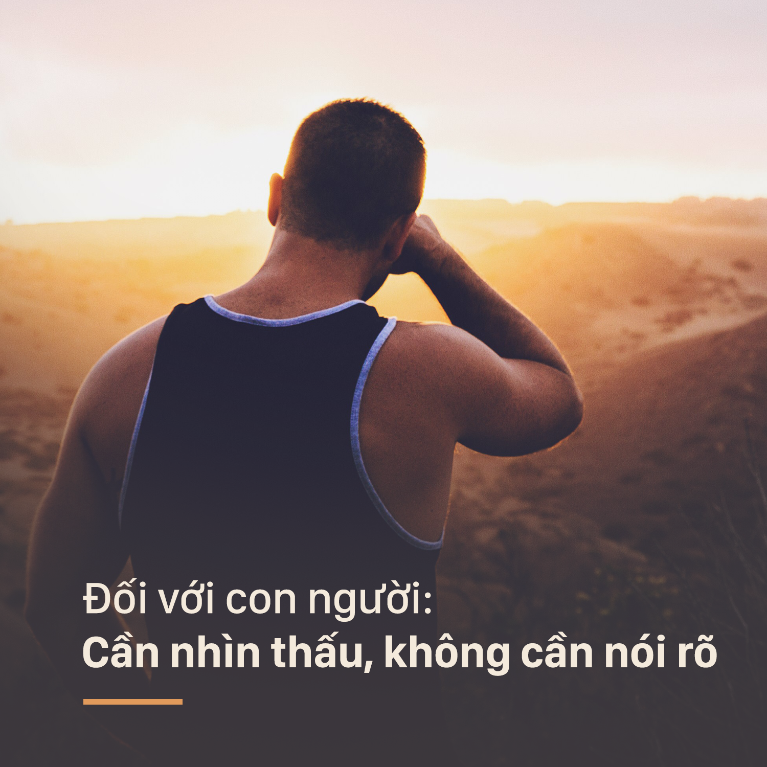 82bc1dc59dbfa553d310.png