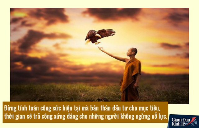 82efa4404359322c7a16.jpg