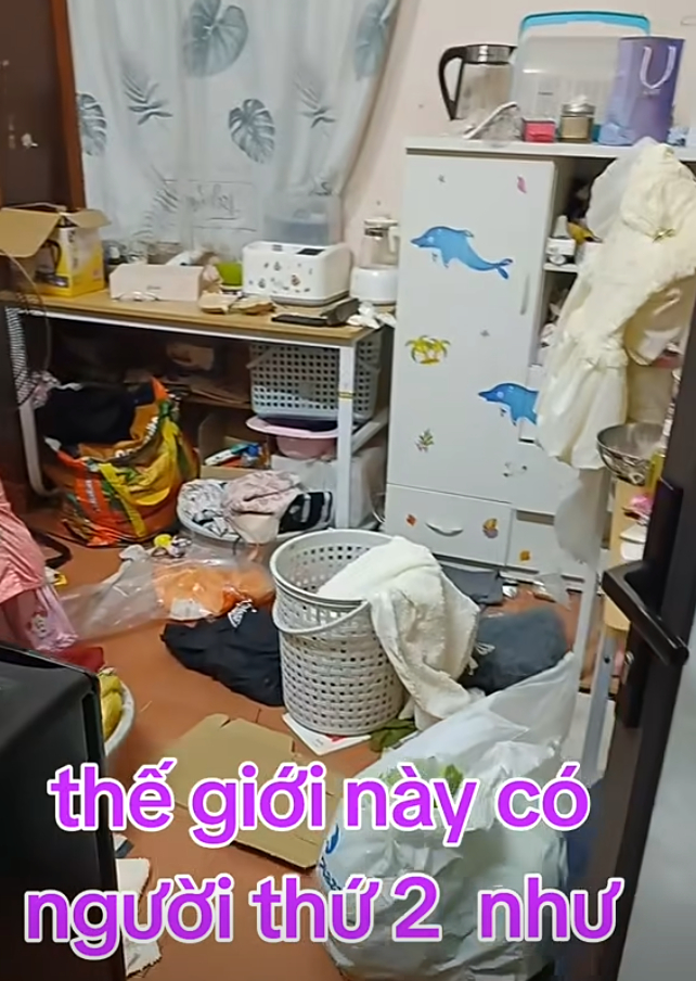 82f7f82dcd0a7462f3cc.jpg