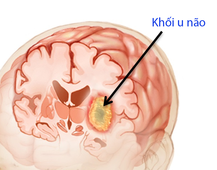 82fa7d1e47073af3c726.jpg