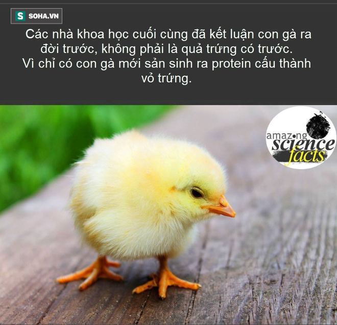 831336af14fa338f6984.png