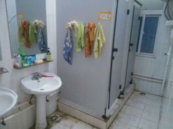 8351ca09c183a7e3d575.jpg