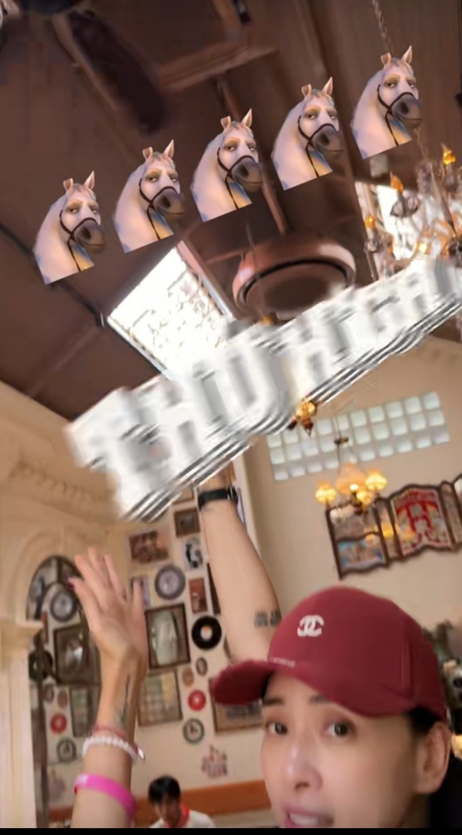 835fdb0ba0528831bca5.jpg