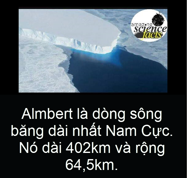 83a4378813d6216a64ea.png
