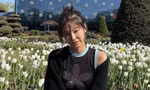 83b56f90ddaa26fd1587.jpg