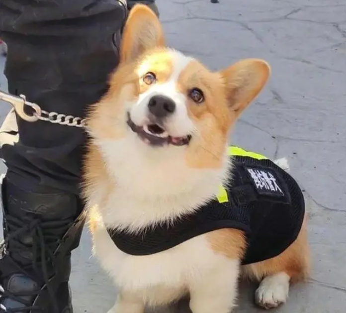 83e839c780510f84d821.png