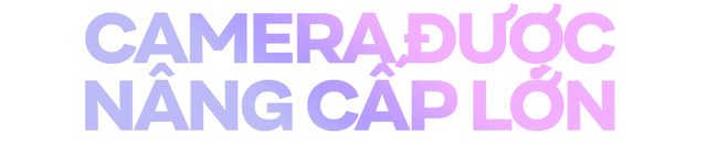 845c1768d73be3044b33.png