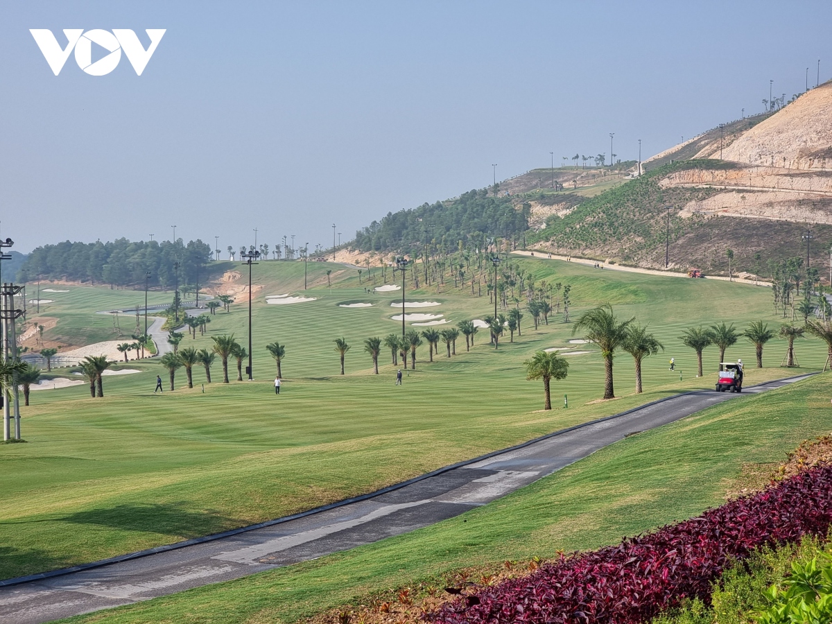 8462c6c44b80f96aae06.jpg