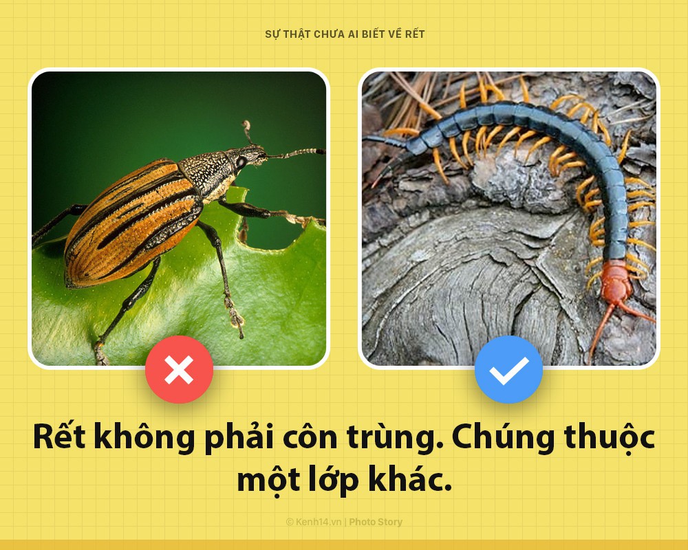 84d7f4a78b773a35d8b7.jpg