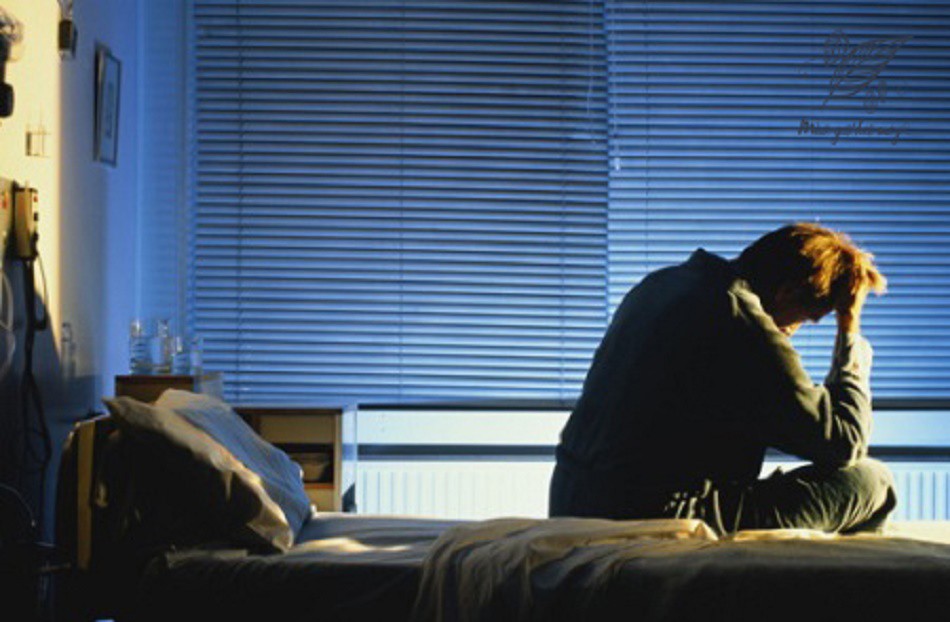 84feb51eb0a361d6cfc9.jpg