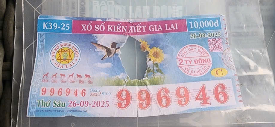 85228a333d8dbfbd06ef.jpg