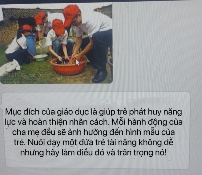 85bfe52f731b0711d67e.jpg