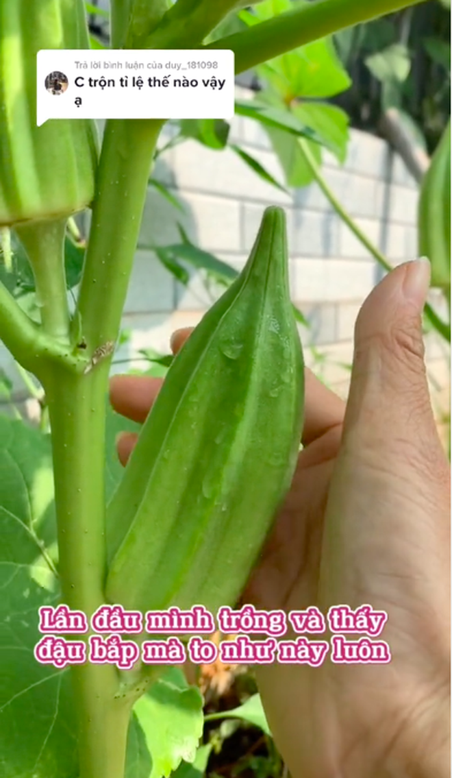 85ce62f50d42ddbc48c3.png