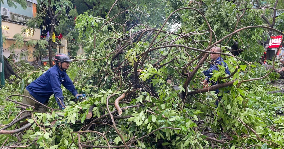 Các trường đại học ở Hà Nội khẩn trương ứng phó bão số 3 - Wipha ️