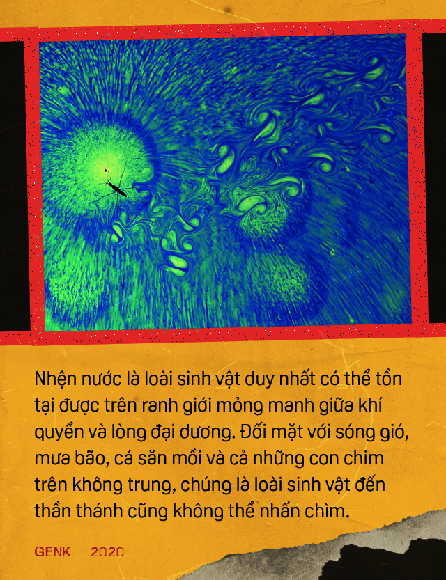 8610d37d4f62b97e5a4c.png