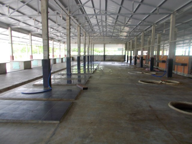 861e93525c034674d8fb.jpg