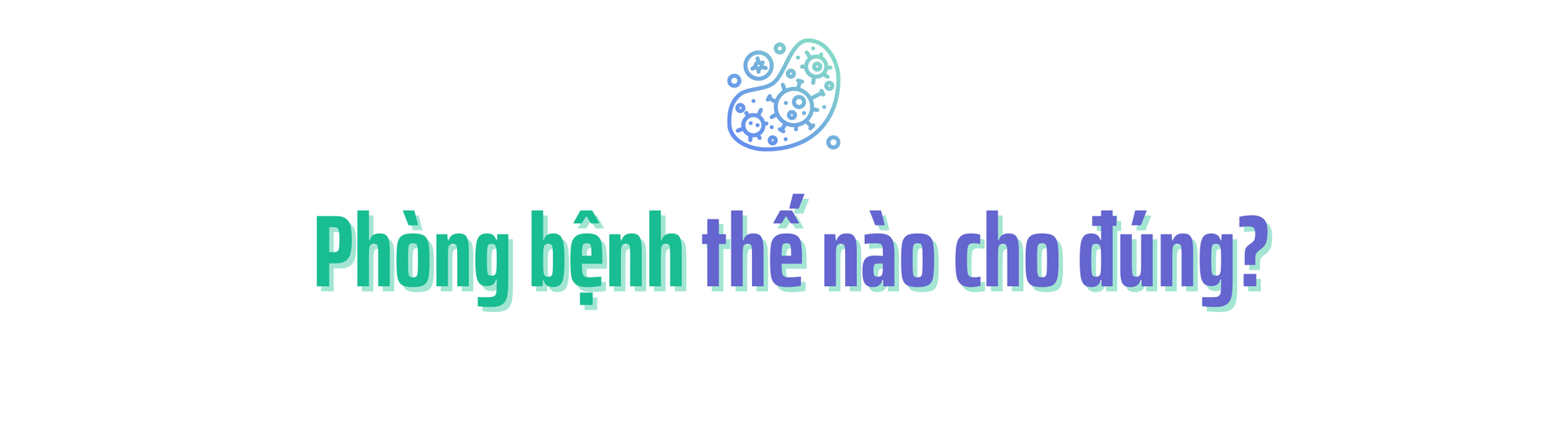 863e4ebb6fb539dc8295.png