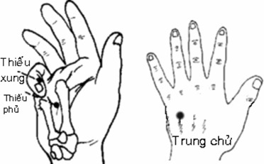 86a60bacef3e63f11e75.jpg