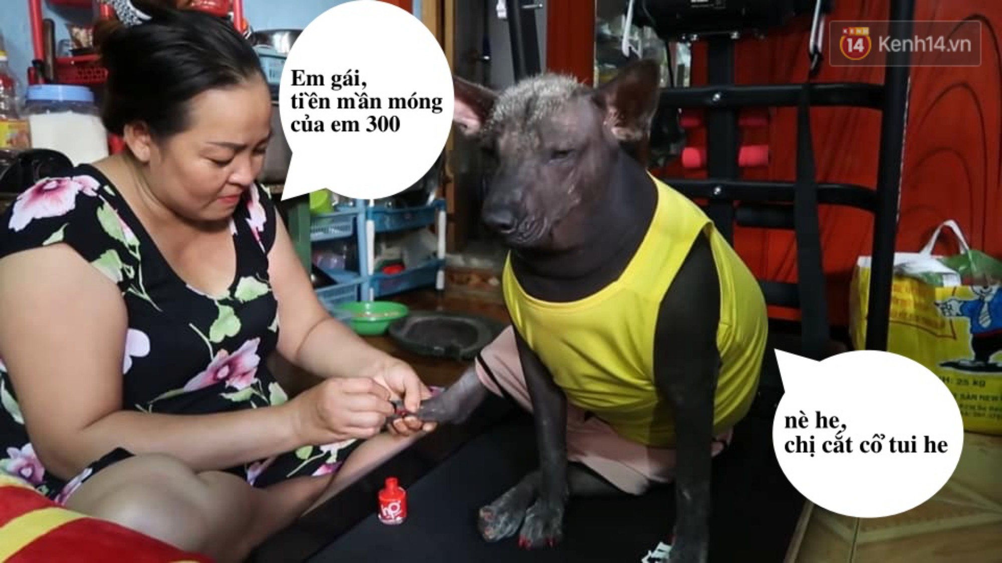86c3468e3187d8e89b84.jpg