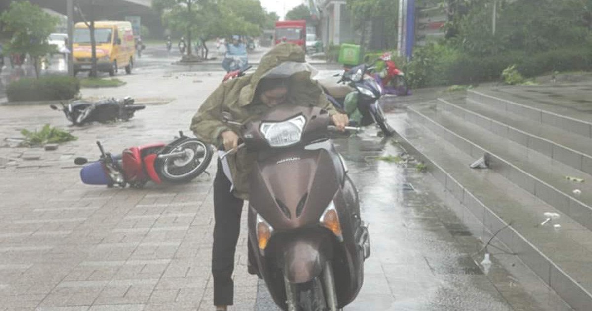 870d10bf765c8e8207f4.jpg