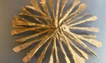 87395516e829d3648f03.jpg