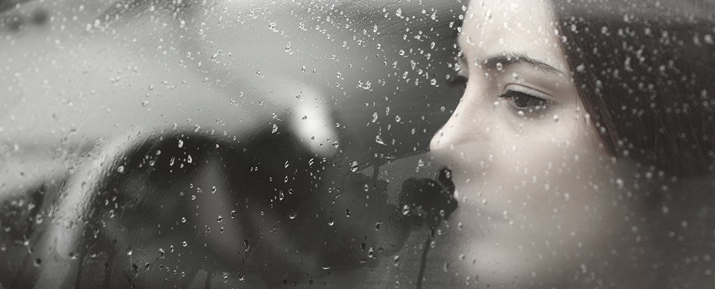 874b7c92817ef60d4f16.jpg