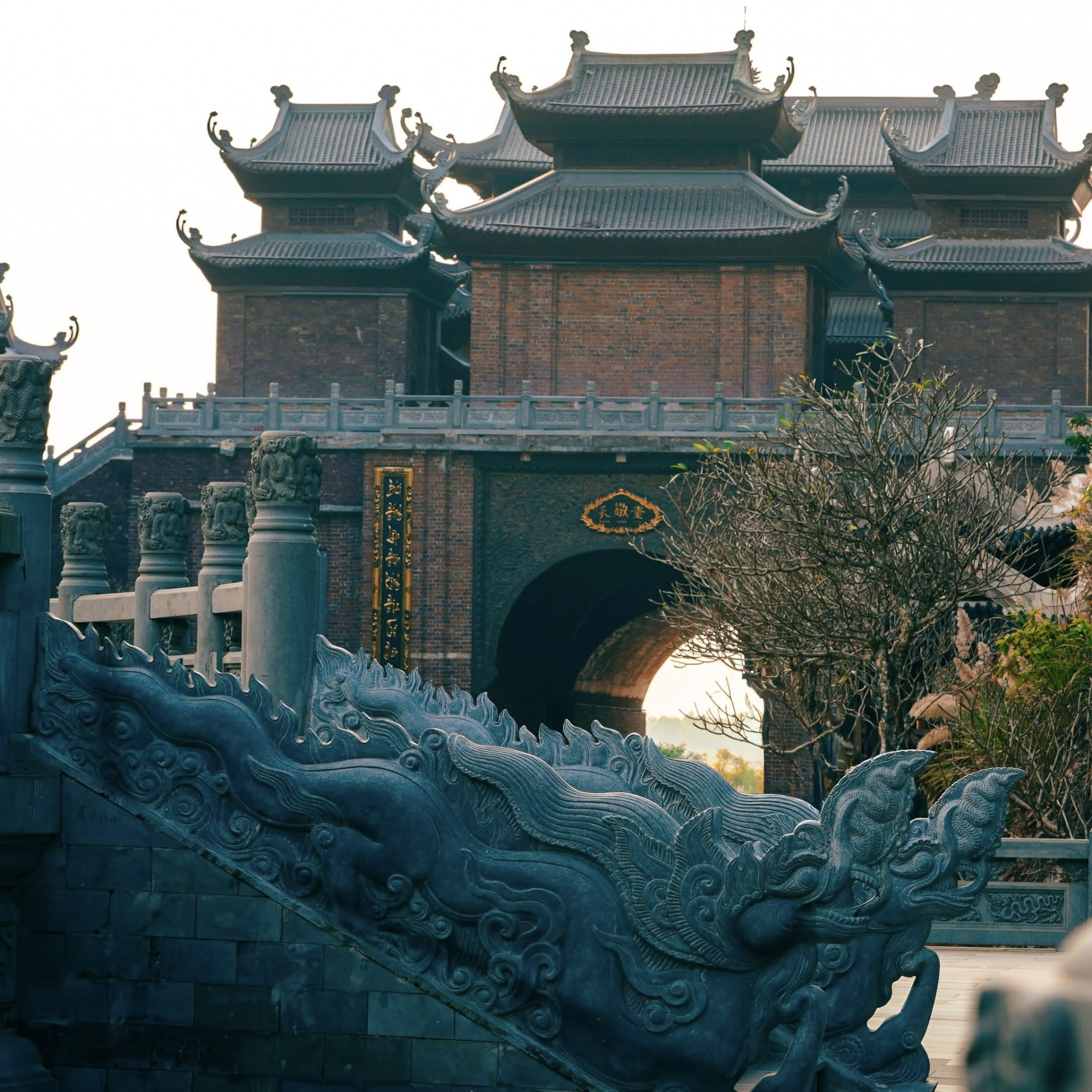878d02ef9d12cc8dc9d8.jpg