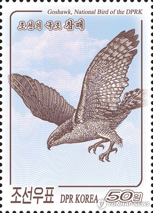 87c3fe072e51911f2980.jpg