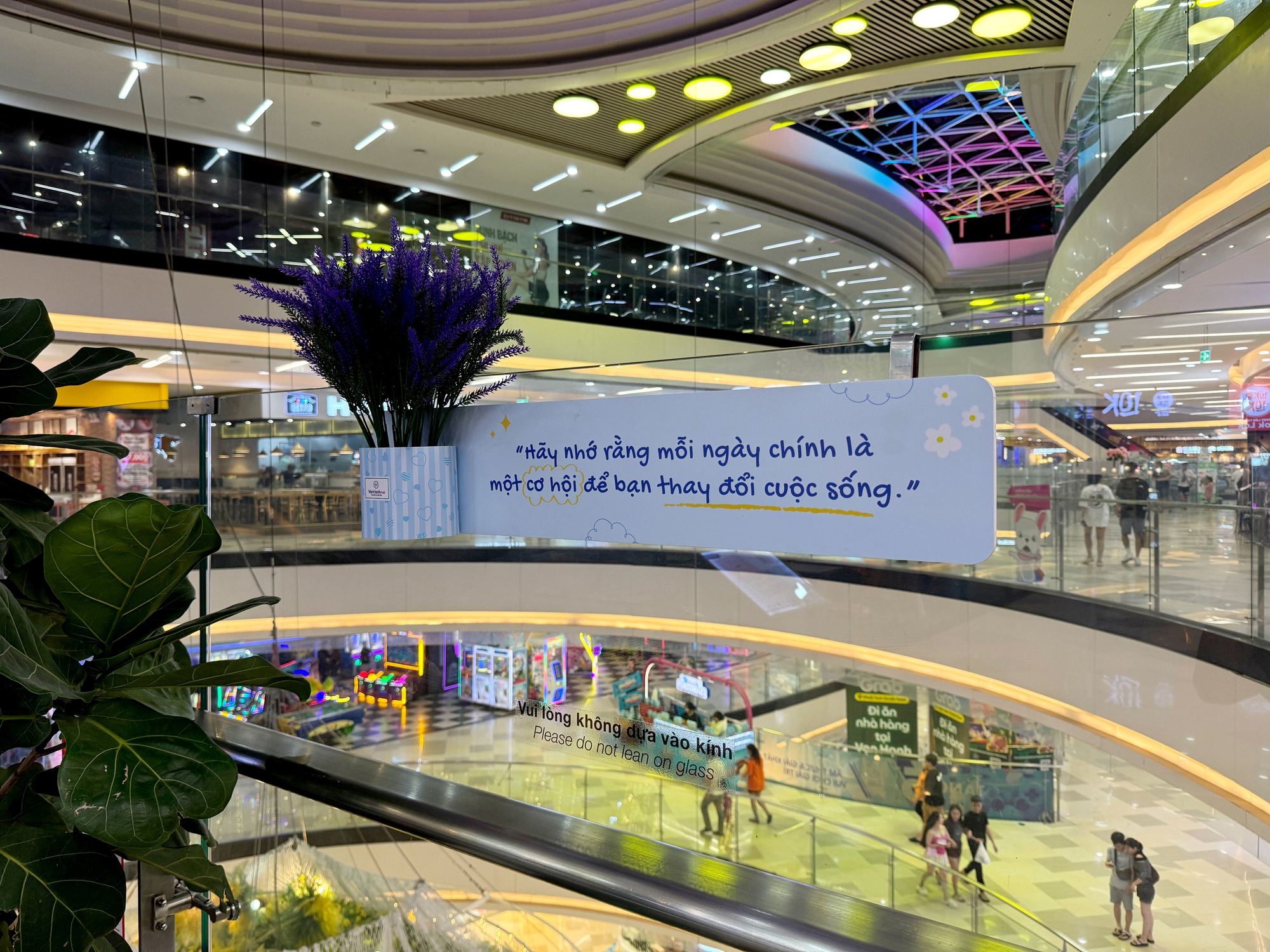 87df5a91f02de38d0c17.jpg
