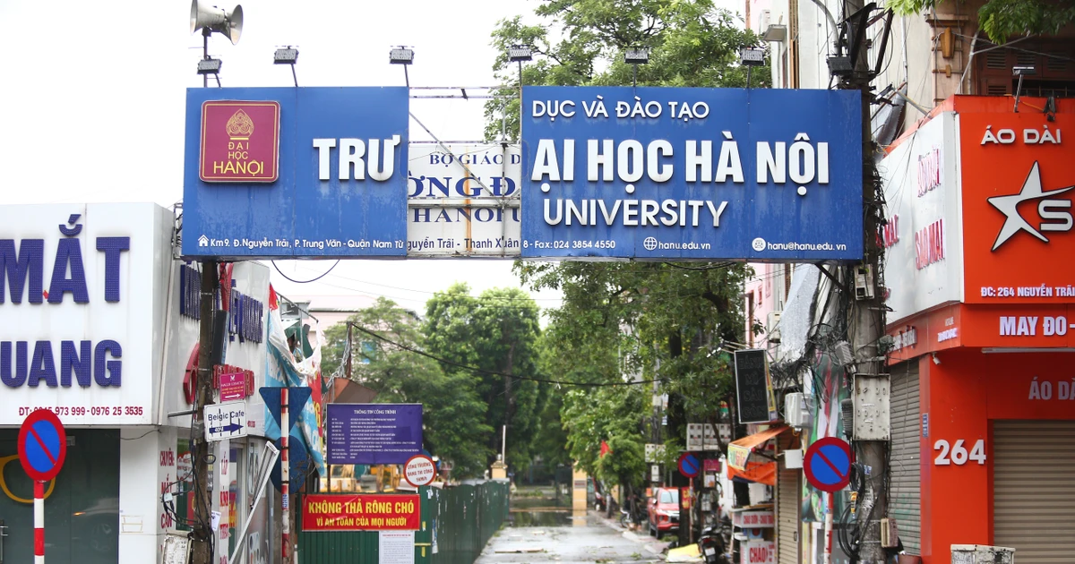 Trường đại học tan hoang sau bão Yagi: Cổ thụ ngã rạp, tài sản hư hại nặng ️