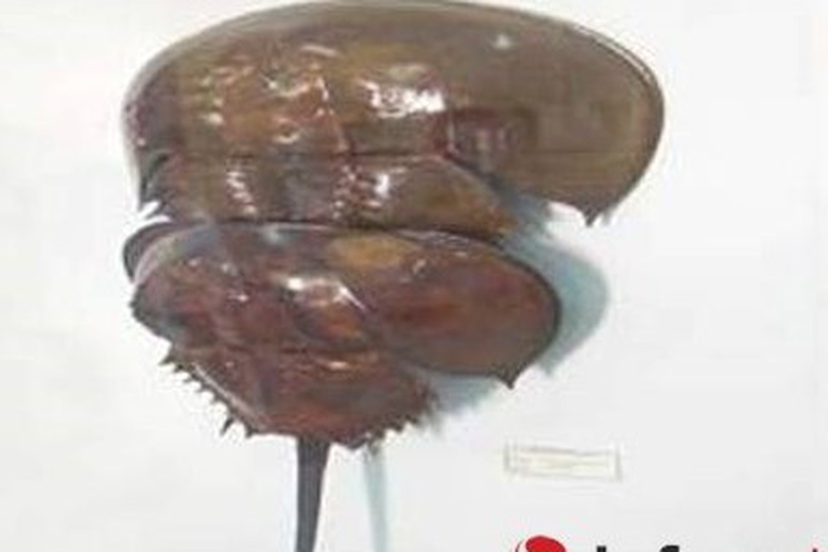 87fdb0cd2f1884dd0148.jpg