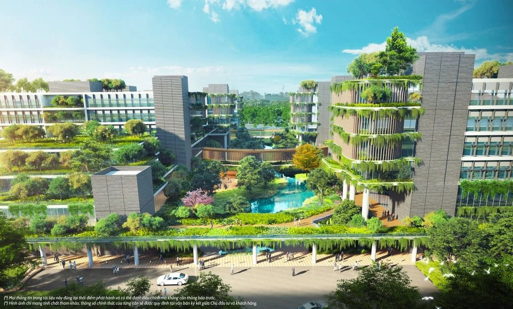 88046b17094555525849.jpg