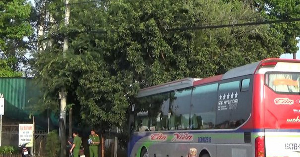 88058cbf11bafea00209.jpg