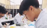 8808cde3b240ca61415b.jpg