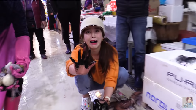 88191e400ddf58c40483.png