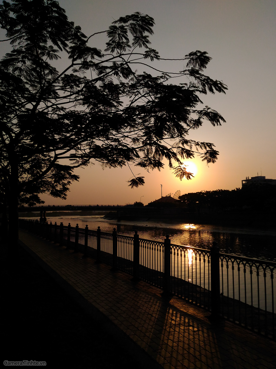 882f48011499feca60a6.jpg