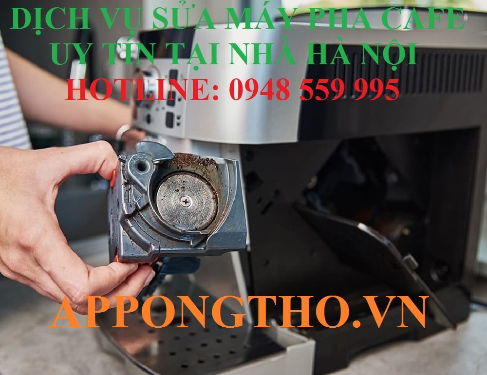 883384db34776a671092.jpg