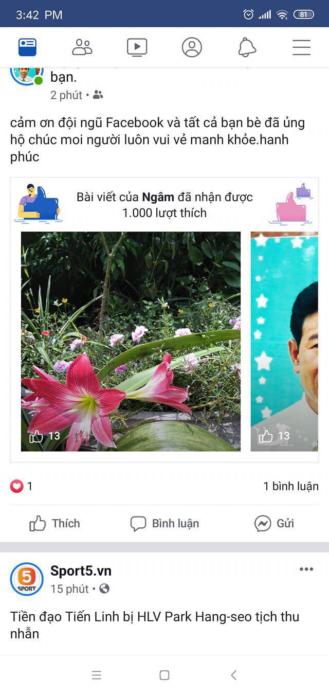 8871d58629d0776d7f31.jpg