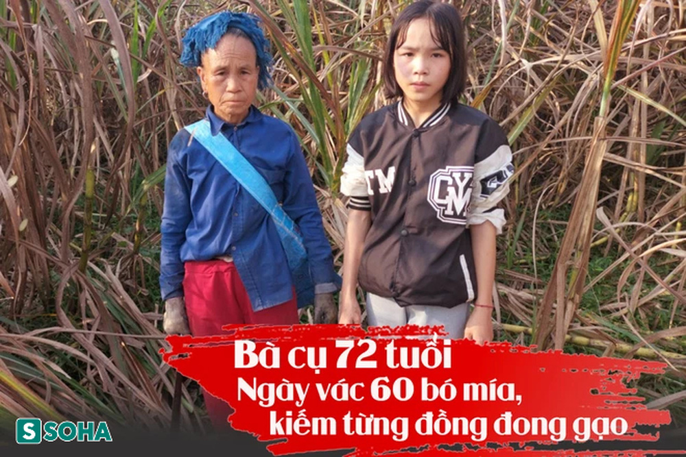 8873bec586407bddcad2.jpg